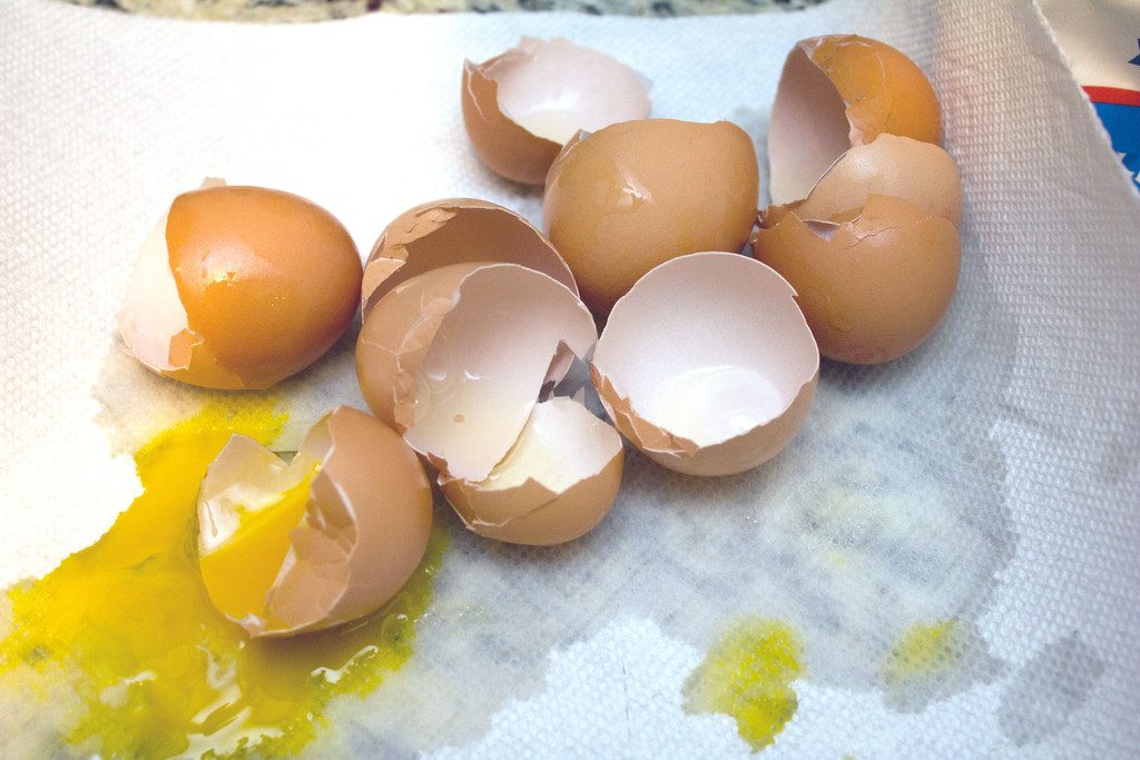 Overhead view of egg shells cracked open on paper towel