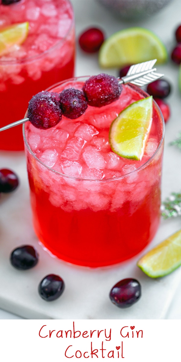 Cranberry Gin Cocktail