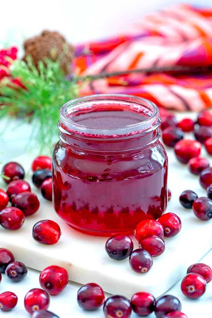 Cranberry Gin Cocktail Recipe We are not Martha