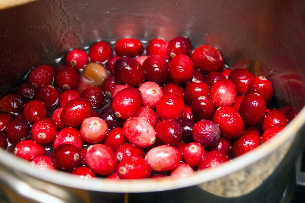 Cranberry Champagne Cupcakes: Recipe Creating in My Happy Place