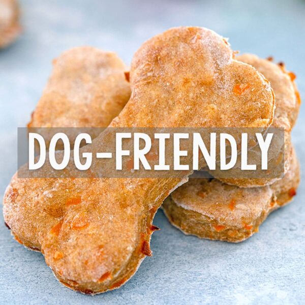Dog-Friendly