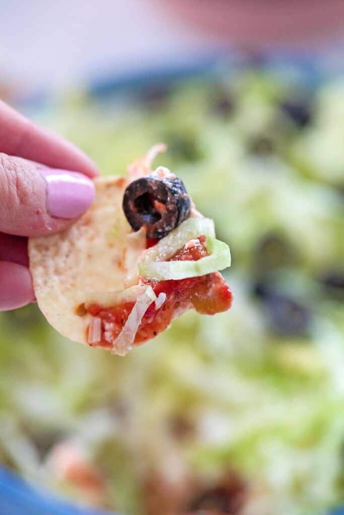 Hand-on view of a hand holding a tortilla chip with taco dip on it.