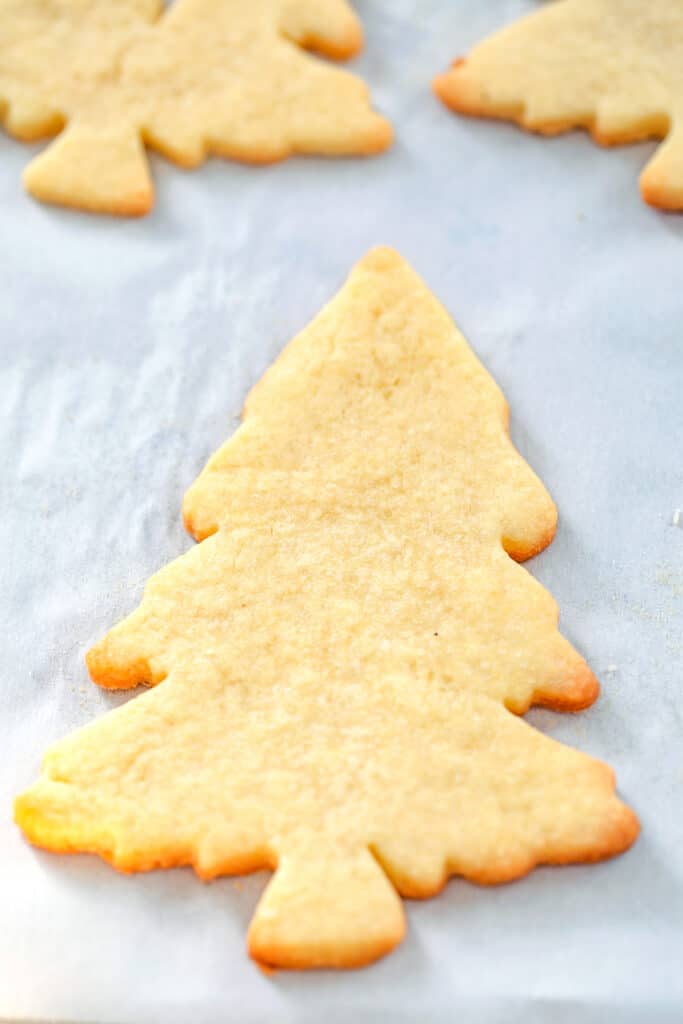Christmas tree shortbread cookies on baking sheet