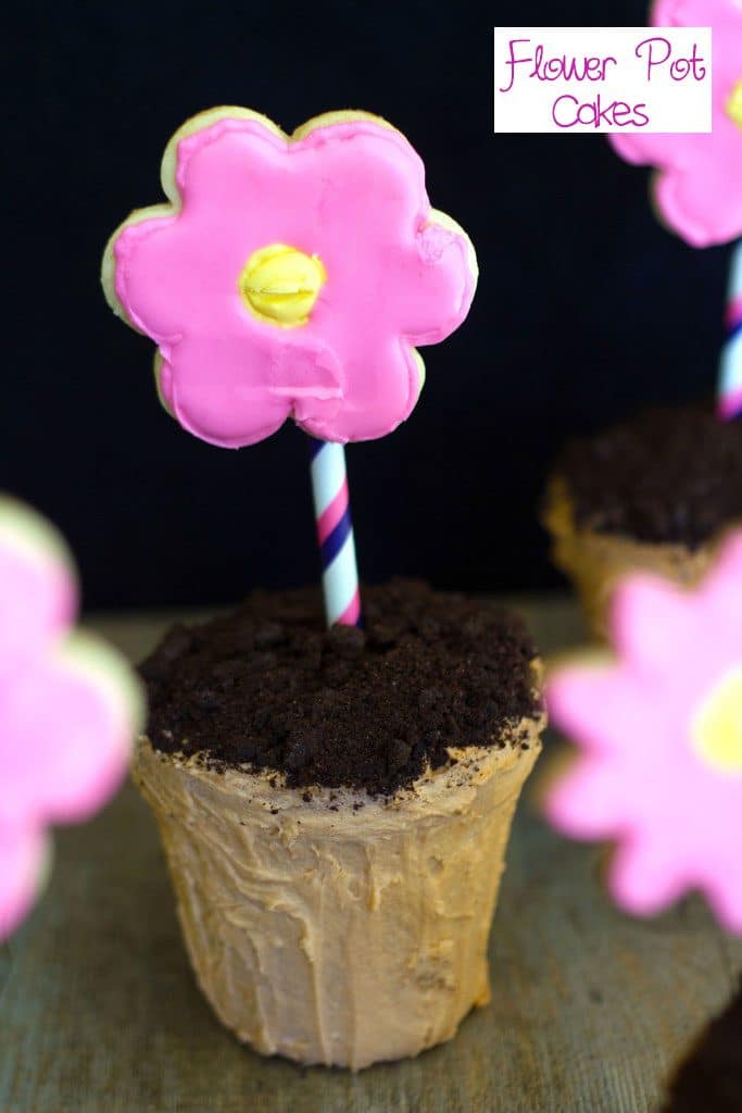 Head-on view of flower pot cake with chocolate cookie dirt and sugar cookie flower with recipe title at top of image