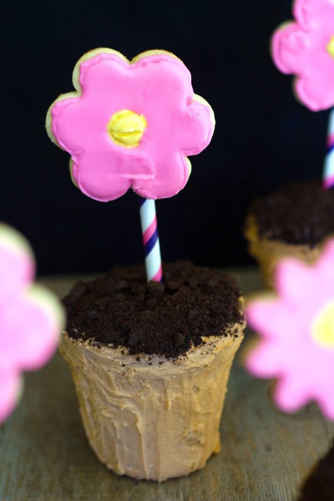 Head-on view of flower pot cake with chocolate cookie dirt and sugar cookie flower