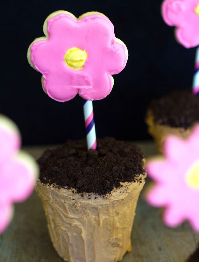 Flower Pot Cakes -- Spring is in the air and it's the perfect time to work on a fun baking project! These Flower Pot Cakes are adorable and and a great touch at spring parties | wearenotmartha.com