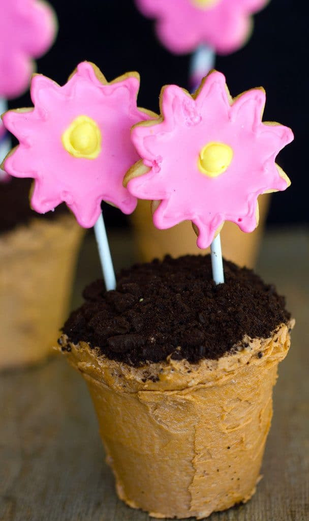 Flower pot cake with chocolate cookie dirt with two pink and yellow sugar cookie flowers stuck into the dirt