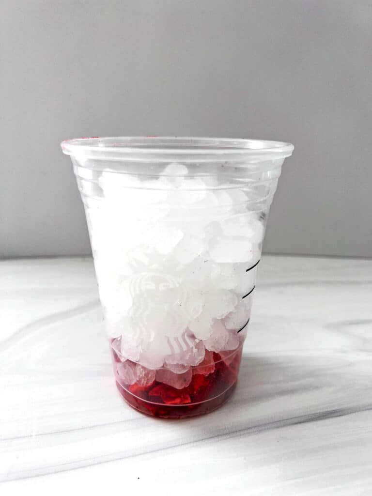 Cup filled with ice with freeze-dried strawberries on bottom.