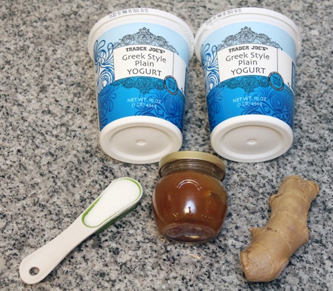 Ginger-Honey-Frozen-Yogurt-Ingredients.jpg