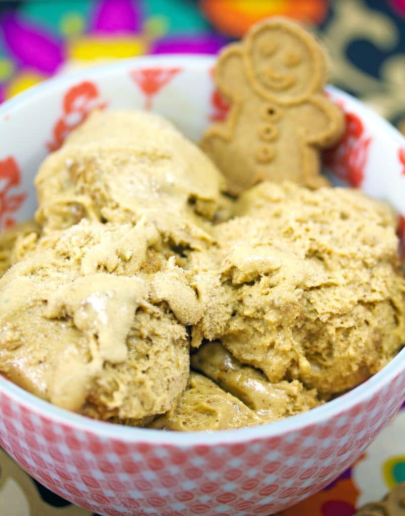 Triple Gingerbread Ice Cream Recipe | We are not Martha