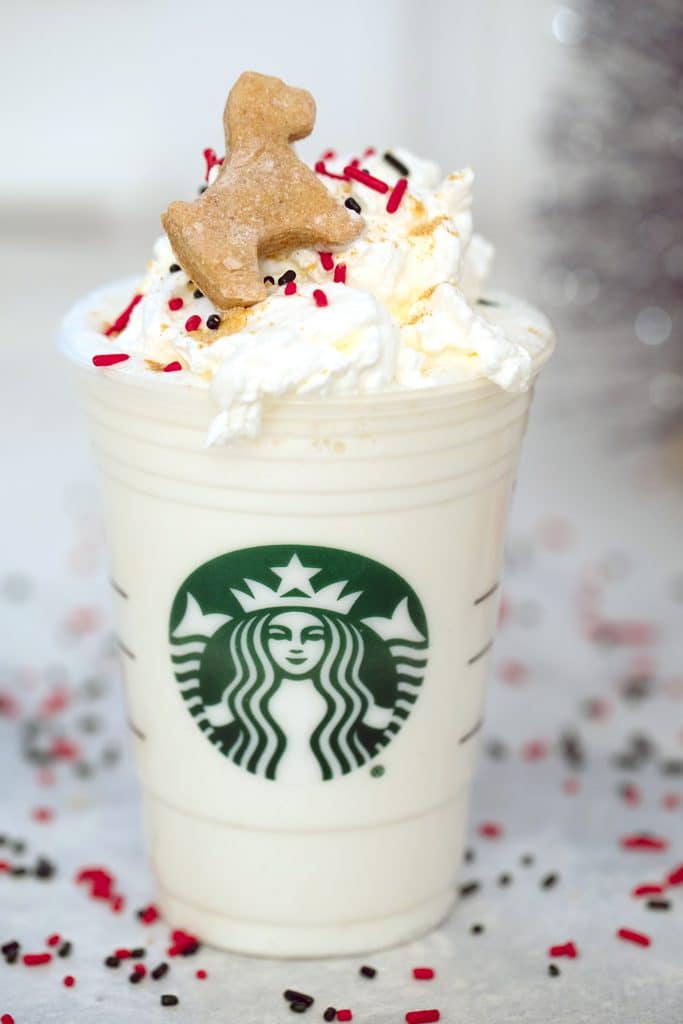 Close-up head-on view of a gingerbread puppuccino in a Starbucks cup with mini gingerbread cookie for dogs and sprinkles