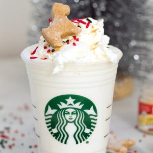 Gingerbread Puppuccinos with Gingerbread Cookies for Dogs -- Looking for a special holiday treat for your favorite dog? These Gingerbread Puppuccinos will give your dog something fun to sip on while you're enjoying all those holiday cocktails | wearenotmartha.com