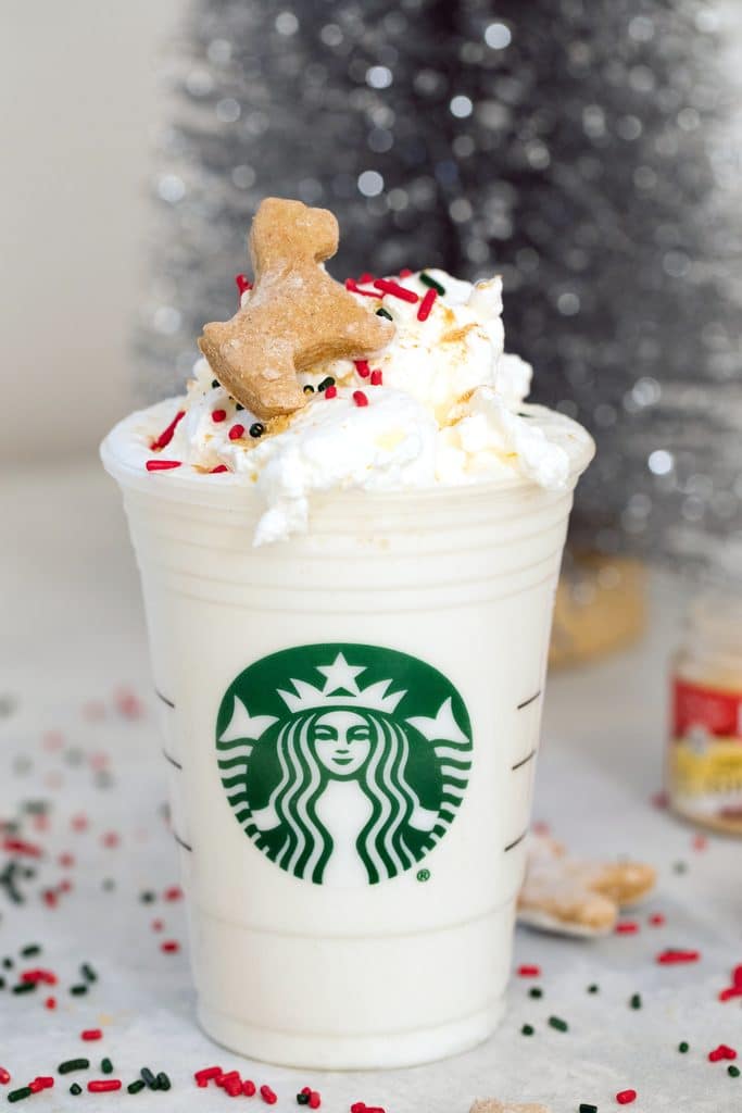 Head-on view of a gingerbread puppuccino in a Starbucks cup with mini gingerbread cookie for dogs and sprinkles