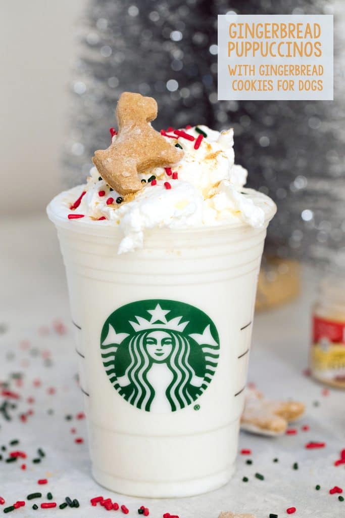 Head-on view of a gingerbread puppuccino in a Starbucks cup with mini gingerbread cookie for dogs and sprinkles with recipe title at top