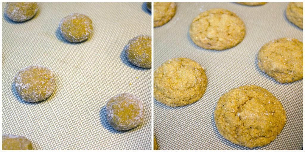 Gingersnap-Cookies-Baking