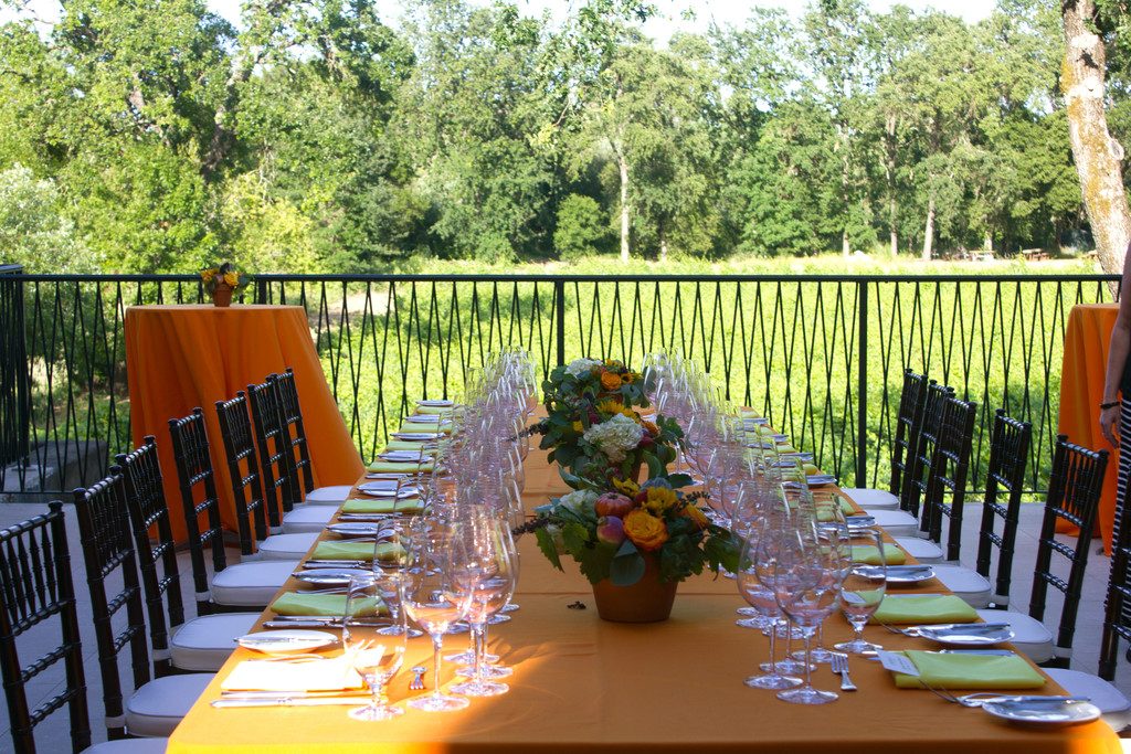 Gracianna Vineyard in Healdsburg | wearenotmartha.com