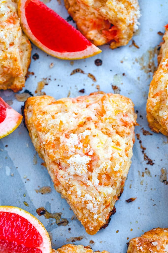 Overhead view of a grapefruit scone on a baking sheet surrounded by more scones and pink grapefruit segments