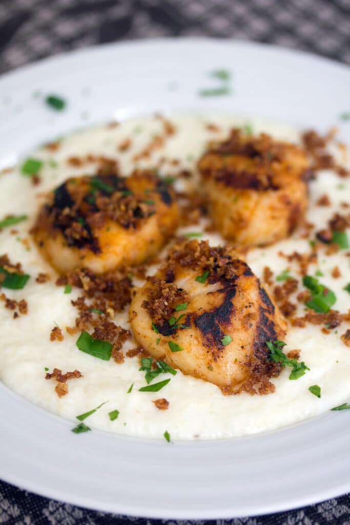 Head-on closeup view of cheesy grits topped with grilled scallops and panko