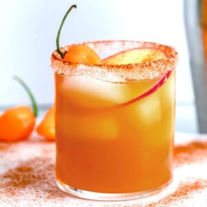 Habanero Ginger Apple Cider Cocktail -- This Habanero Ginger Apple Cider Cocktail is a simple, but delicious fall cocktail consisting of apple cider, rum, and a wonderfully spicy habanero ginger simple syrup. Despite being served chill, it's a cocktail that will warm you up! | wearenotmartha.com