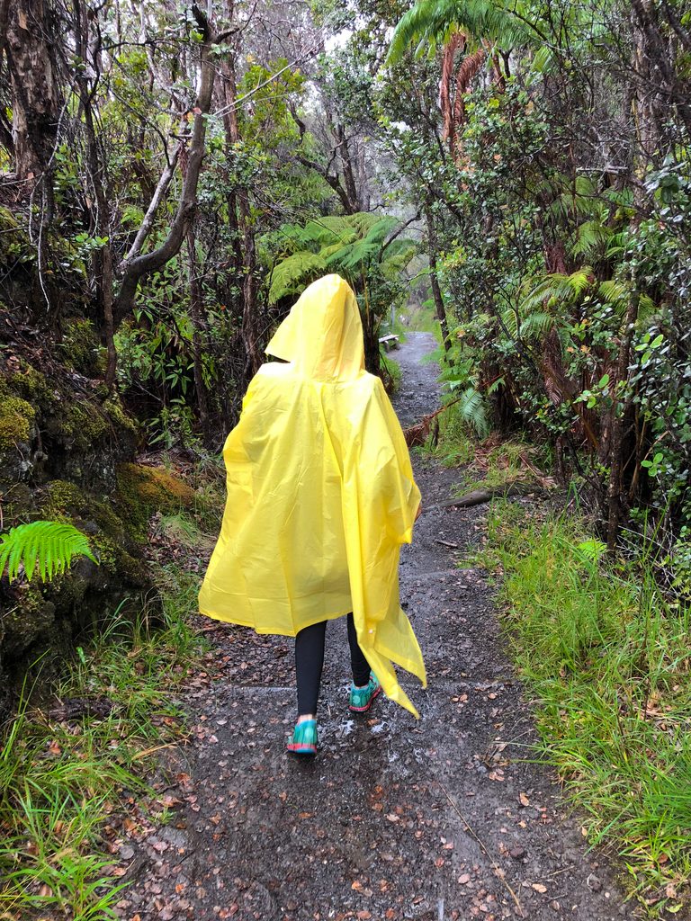 View along the hike of the Kīlauea Iki Trail at Volcano National Park on the Big Island of Hawaii