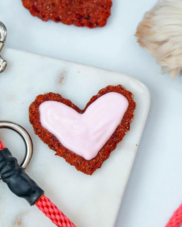 Close-up of heart-shaped beet cookie with sour cream icing and dog paw and leash in background