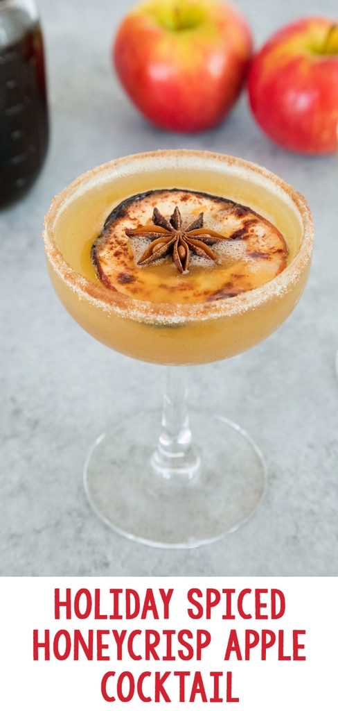 Holiday Spiced Honeycrisp Apple Cocktail