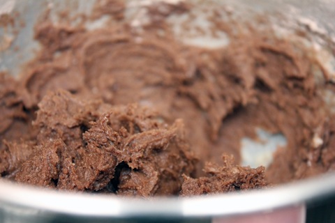 Hot-Cocoa-Cookies-Chocolate-Batter.jpg