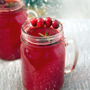 Hot Spiced Cranberry Cocktail -- Warm cranberry juice with vodka makes the perfect holiday cocktail! | wearenotmartha.com