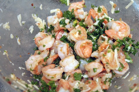 Lemon-Garlic-Shrimp-with Parmesan-Mixed.jpg