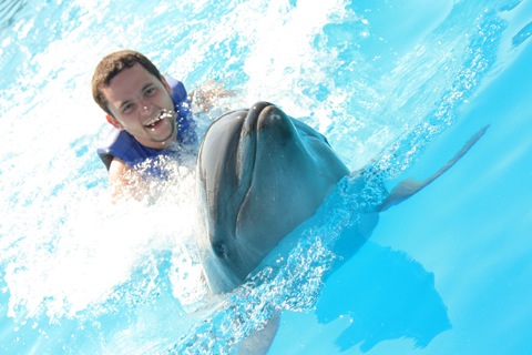 Los-Cabos-Honeymoon-Swim-with-Dolphins-.jpg