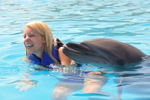 Los-Cabos-Honeymoon-Swim-with-Dolphins-8.jpg