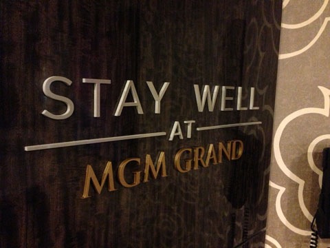 MGM Grand Stay Well.jpg