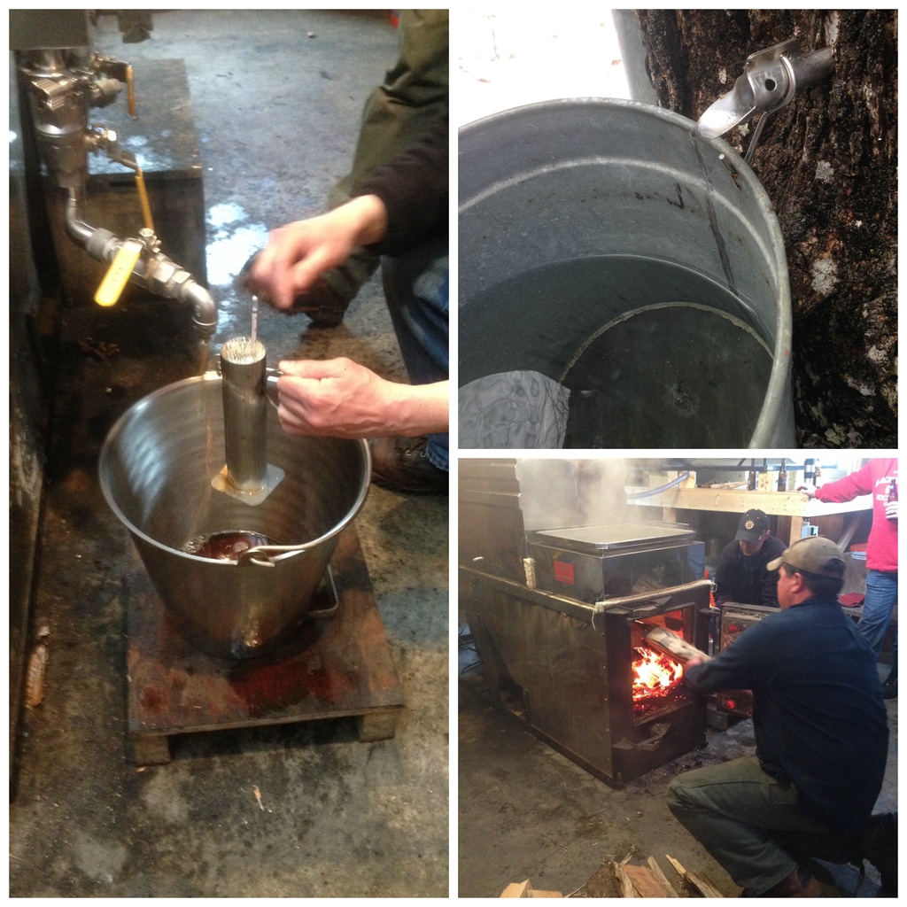 A collage showing the inside of the sugar shack in New Hampshire with maple sap being collected and boiled into maple syrup