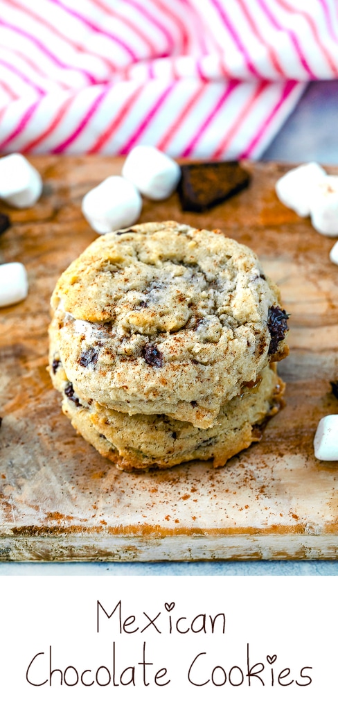 Mexican Chocolate Cookies -- These Mexican Chocolate Cookies are delicious cinnamon cookies packed with dark chocolate chunks and mini marshmallows. Totally addictive and perfect for summer campfires! | wearenotmartha.com #cookies #cinnamon #mexicanchocolate #desserts #marshmallows