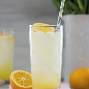 Meyer Lemon Tom Collins -- This twist on the classic Tom Collins drink uses Meyer lemons for a slightly tart, slightly sweet Meyer lemon cocktail you can enjoy all winter long into spring | wearenotmartha.com