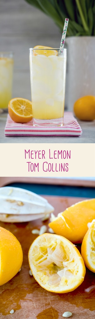 Meyer Lemon Tom Collins -- This twist on the classic Tom Collins drink uses Meyer lemons for a slightly tart, slightly sweet Meyer lemon cocktail you can enjoy all winter long into spring | wearenotmartha.com
