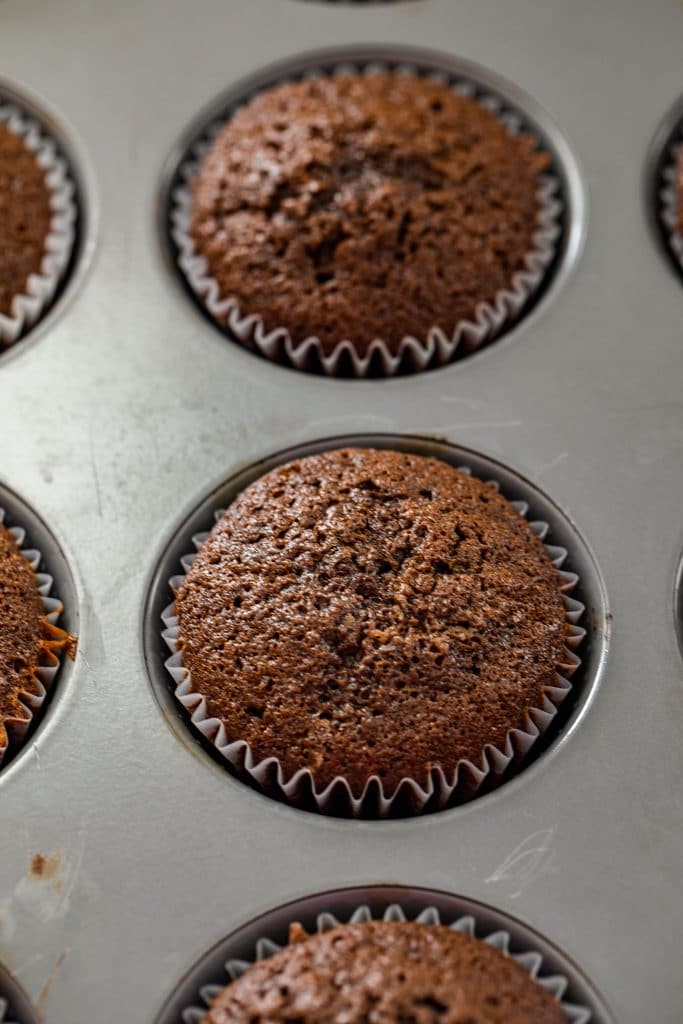 Overhead view of baked chocolate mint chocolate chip cupcakes in a cupcake tin