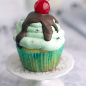 Mint Chocolate Chip Ice Cream Cupcakes -- An ice cream sundae in cupcake form! | wearenotmartha.com