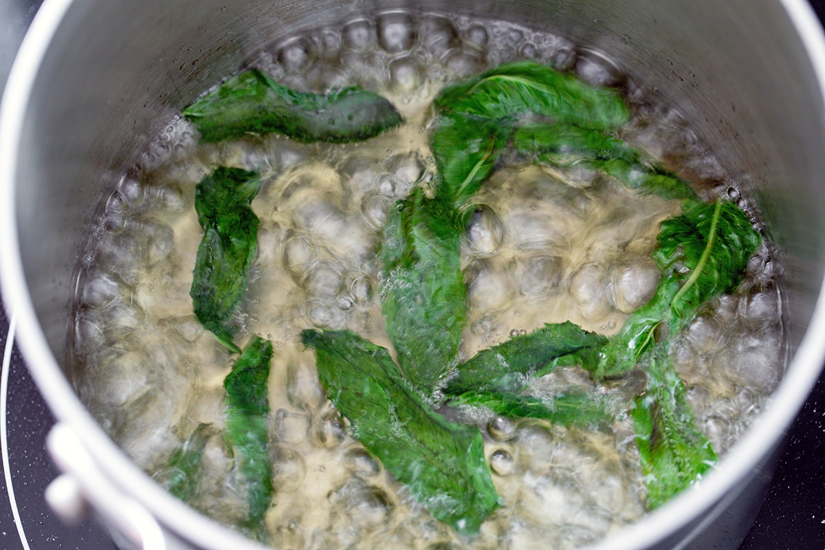 Mint leaves simmering in sugar water in saucepan
