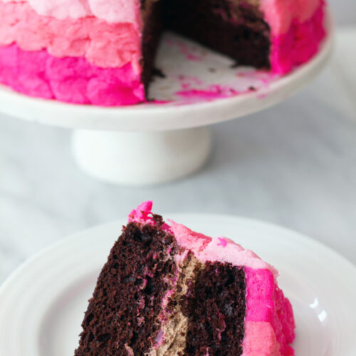 Chocolate Whipped Cream Raspberry Curd Ombre Petal Cake