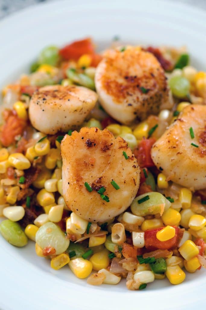 Close up of seared sea scallops atop bacon succotash in a white bowl