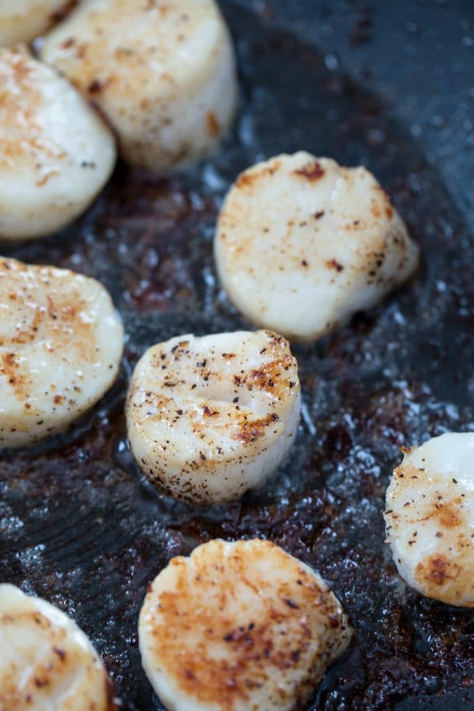 Closeup of sea scallops being seared in a pan with bacon fat, salt, and pepper