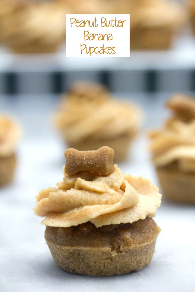 Peanut Butter Pupcakes Cupcakes For Dogs We Are Not Martha