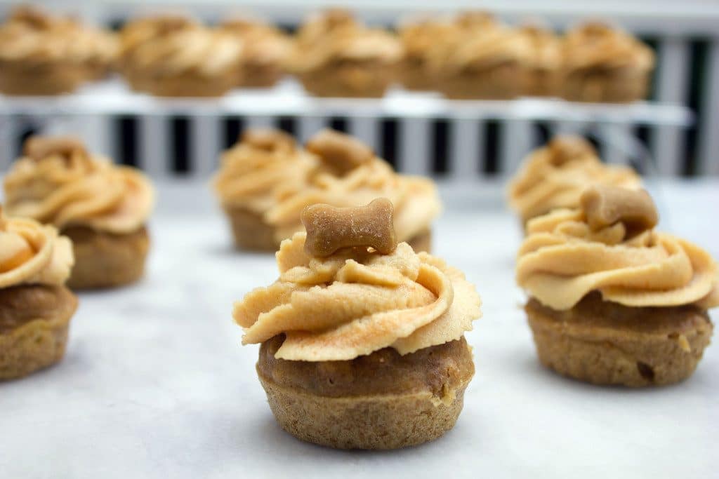 A landscape photo showing multiple peanut butter banana pupcakes with peanut butter frosting swirled on top and a little bone-shaped treat