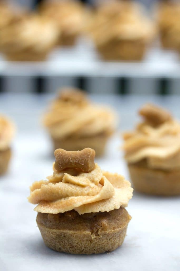 Close up of mini peanut butter banana pupcake with swirled peanut butter frosting, a bone-shaped dog treat on top with more pupcakes in the background