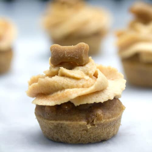 Peanut Butter Banana Pupcakes -- Have a dog who deserves an extra special treat? These pupcakes (cupcakes for dogs!) will have your dog going wild! All of the ingredients are human-grade, so you can enjoy them, too | wearenotmartha.com