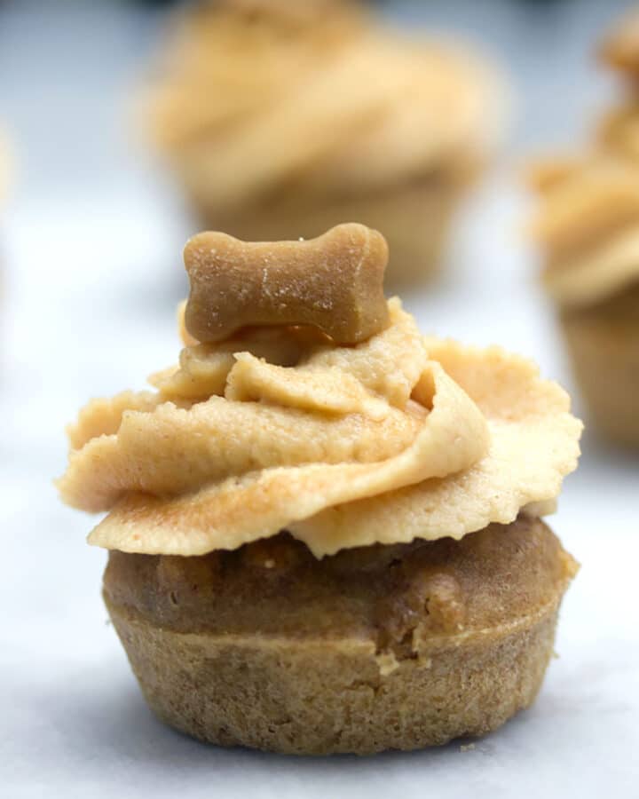 Peanut Butter Banana Pupcakes -- Have a dog who deserves an extra special treat? These pupcakes (cupcakes for dogs!) will have your dog going wild! All of the ingredients are human-grade, so you can enjoy them, too | wearenotmartha.com