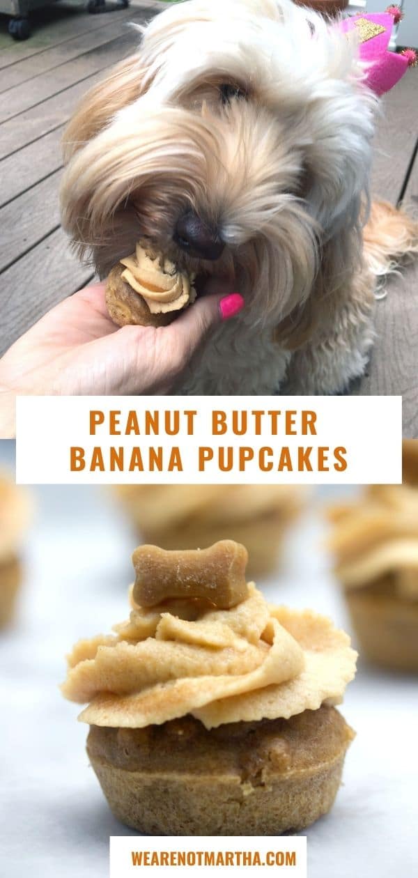 Peanut Butter Banana Pupcakes