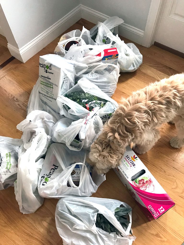 Peapod grocery delivery bags on floor