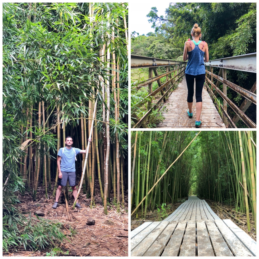 A collage featuring Chris and Sues walking through bamboo forest on Pipiwai Trail